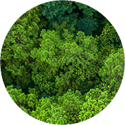 玫德集團(tuán) 智造60?年 暢銷140?國